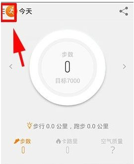 格鲁吉亚总理当选执政党主席